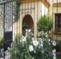 Gramma´s House
