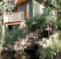 La Casa Verde