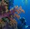 Robinson Crusoe Island