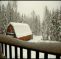 Caribou Hostel