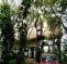 Tree Tops Bed & Breakfast