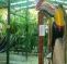 Tucan Hotel