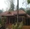Wayanad Blooms