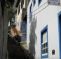 HI Ouro Preto