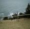 Bluefin Motel