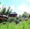 Darling View Point Bungalows
