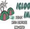 Igloo Inn Backpackers Accommodation