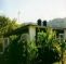 Spring Garden Guesthouse