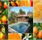 Kerikeri Farm Hostel