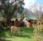 Otters Bend Lodge