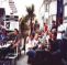 Newquay International Backpackers