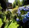Paradise Pucon International Hostal