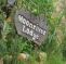 Moonriver Lodge