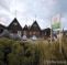 YHA Wanaka Purple Cow