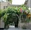 Hotel Elvan
