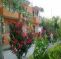 Patara Rose Pension