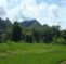 Spicypai Backpackers