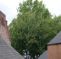 Earl Howe Hostel