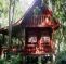 Trindade Sea and Forest Hostel