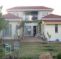Simba Harare