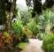 Coffeeriver Cottages