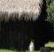 Hacienda San Jose