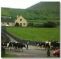 Garveys Farm House