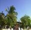 Shields Negril Villas