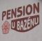 Pension U Bazenu