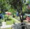 Black Sea Cottage Guesthouse and Campsite
