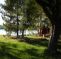 Red Deer Log Cabins