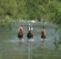 Italycountrystay