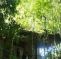 Contentment Jungle Resort