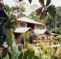 Suchipakari Jungle Lodge