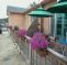 Lazy Bird Guest House