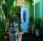 Hilo Airport Hostel