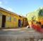Township Vibe Backpackers