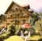 Hotel Brienzerburli
