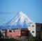 Taranaki International Village