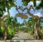 A Thuy Duong Resort