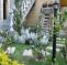 Ace Pousada Bed&Breakfast