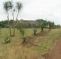 Hluhluwe Backpackers