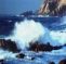 Mossel Bay Backpackers