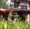 Billie's Backpackers Hostel