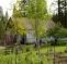 Grunewald Guild