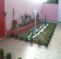 Paraiso Tropical