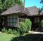 The Tree House Hostel