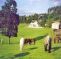 Muckross Stables Farm House